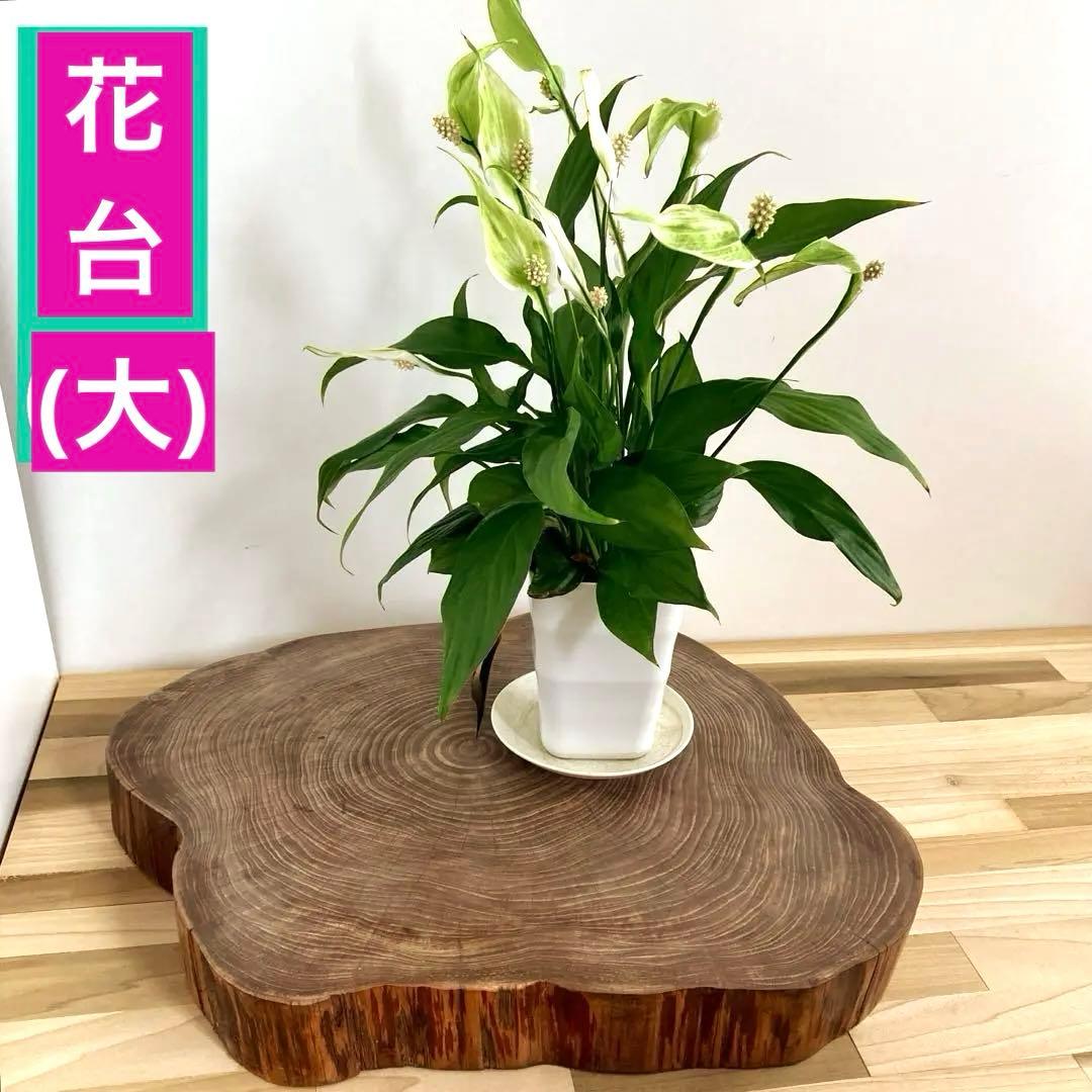 アンティーク調 花台 花瓶台 フラワースタンド 切り株 一枚板