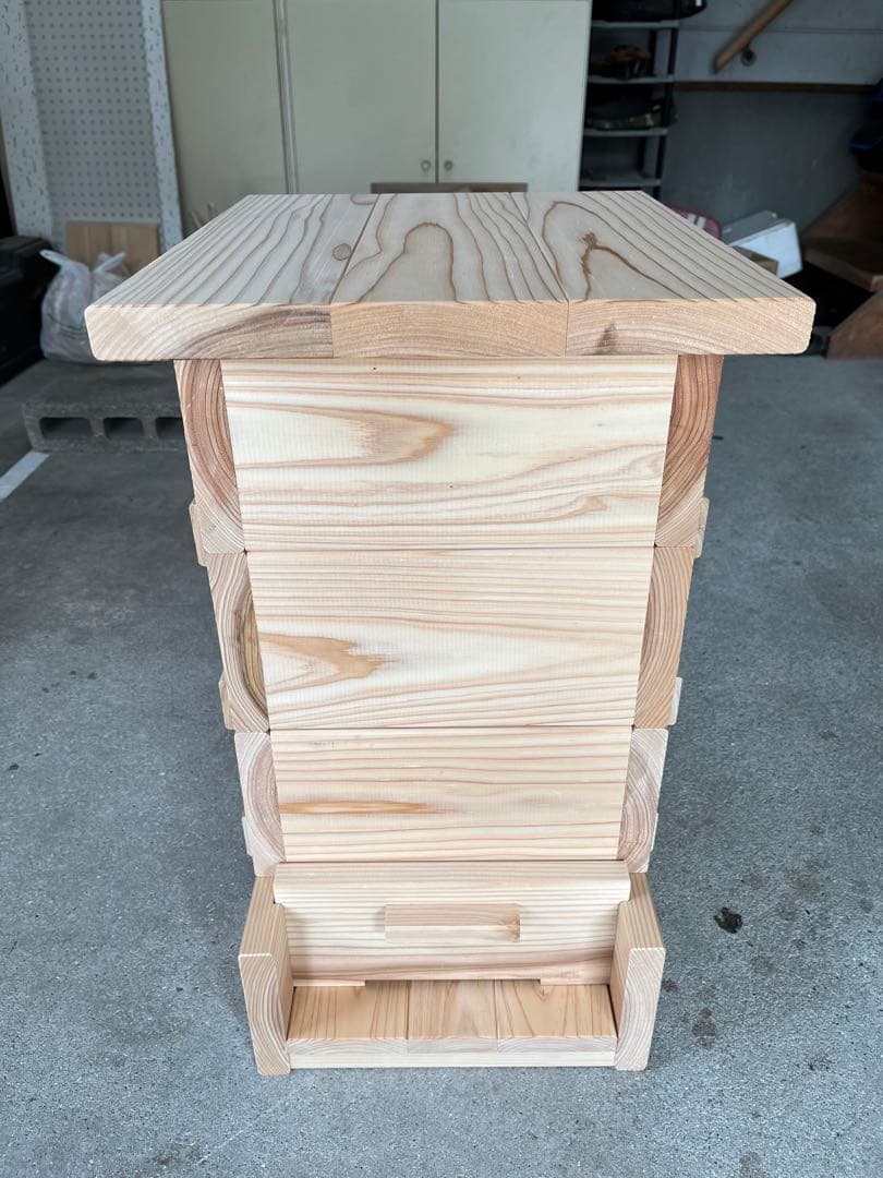 外国産蝶標本】アスタコイデスノコギリクワガタ♂/貴州省.徳江県産/37mm