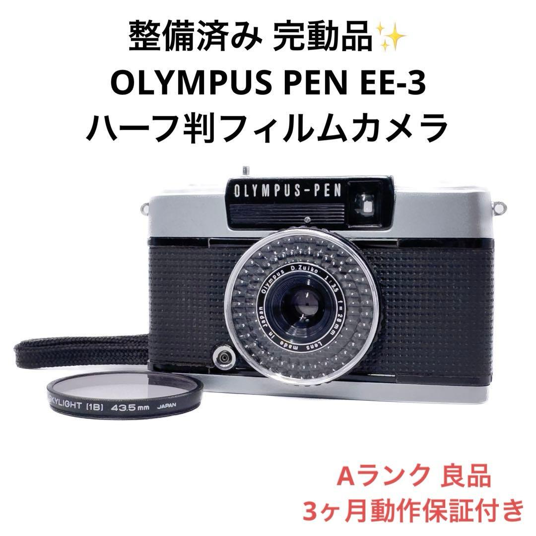 最終値下げ 「極美品」SONY α6100 Wズームレンズキットの通販はau PAY