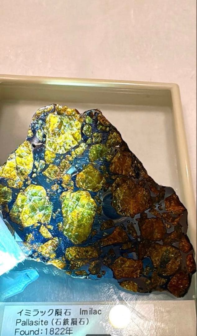 【存在感が段違い】28.0g イミラックパラサイト隕石標本（東京サイエンス購入）