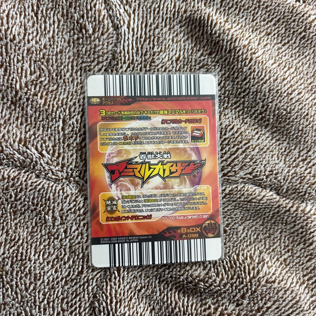 ラタトスク初購入の方プロフィール必読！様専用】アニマルカイザー