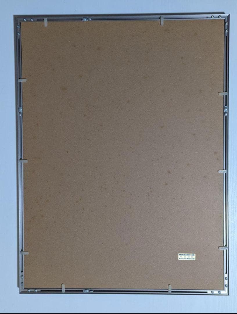 アンリ・マティス 青いドレスの女 アンリ・マチス フィラデルフィア