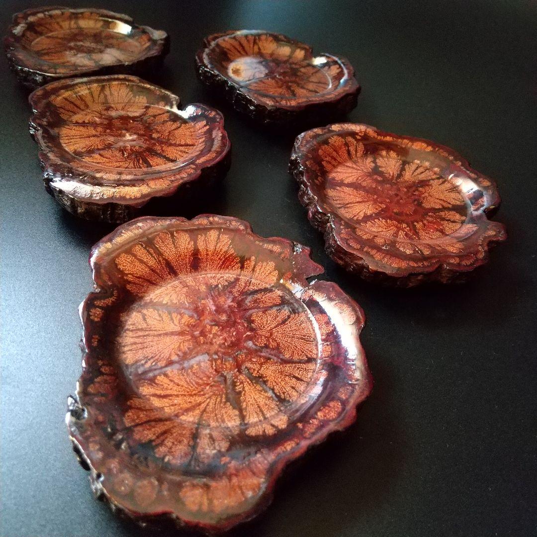 煎茶 珍しい木 茶托 菊花木 5客組 - メルカリ