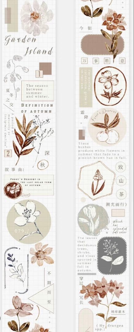 《在庫処分最終値下げ》海外 マスキングテープ雀斑茶 6点⚠️pet（33.324