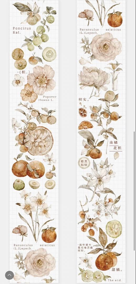 《在庫処分最終値下げ》海外 マスキングテープ雀斑茶 6点⚠️pet（33.324