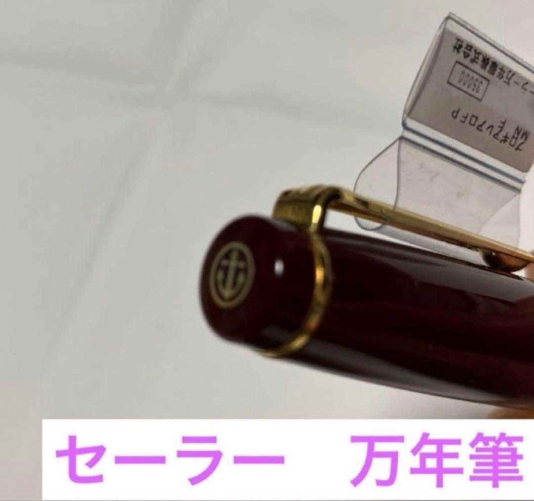 【万年筆】セーラーSAILOR プロギアレアロFP MN F 21K