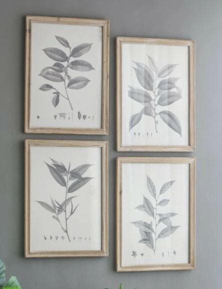 額絵 植物 アートフレーム 4枚セット ボタニカル ナチュラル AN-80196