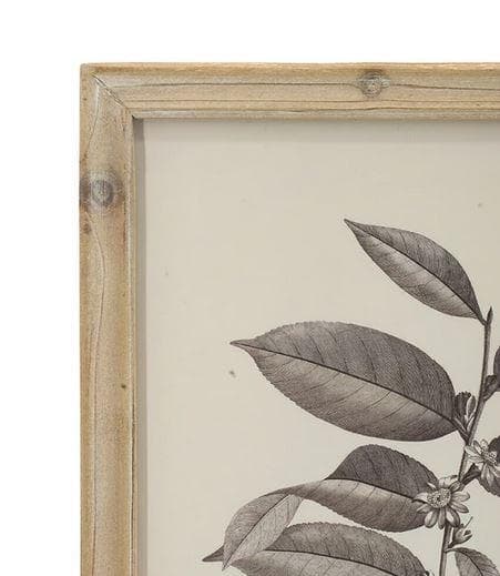 額絵 植物 アートフレーム 4枚セット ボタニカル ナチュラル AN-80196