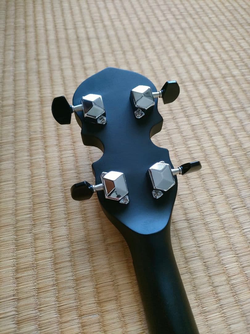 【美品】Gold Tone　AC-4IT　アイリッシュテナーバンジョー