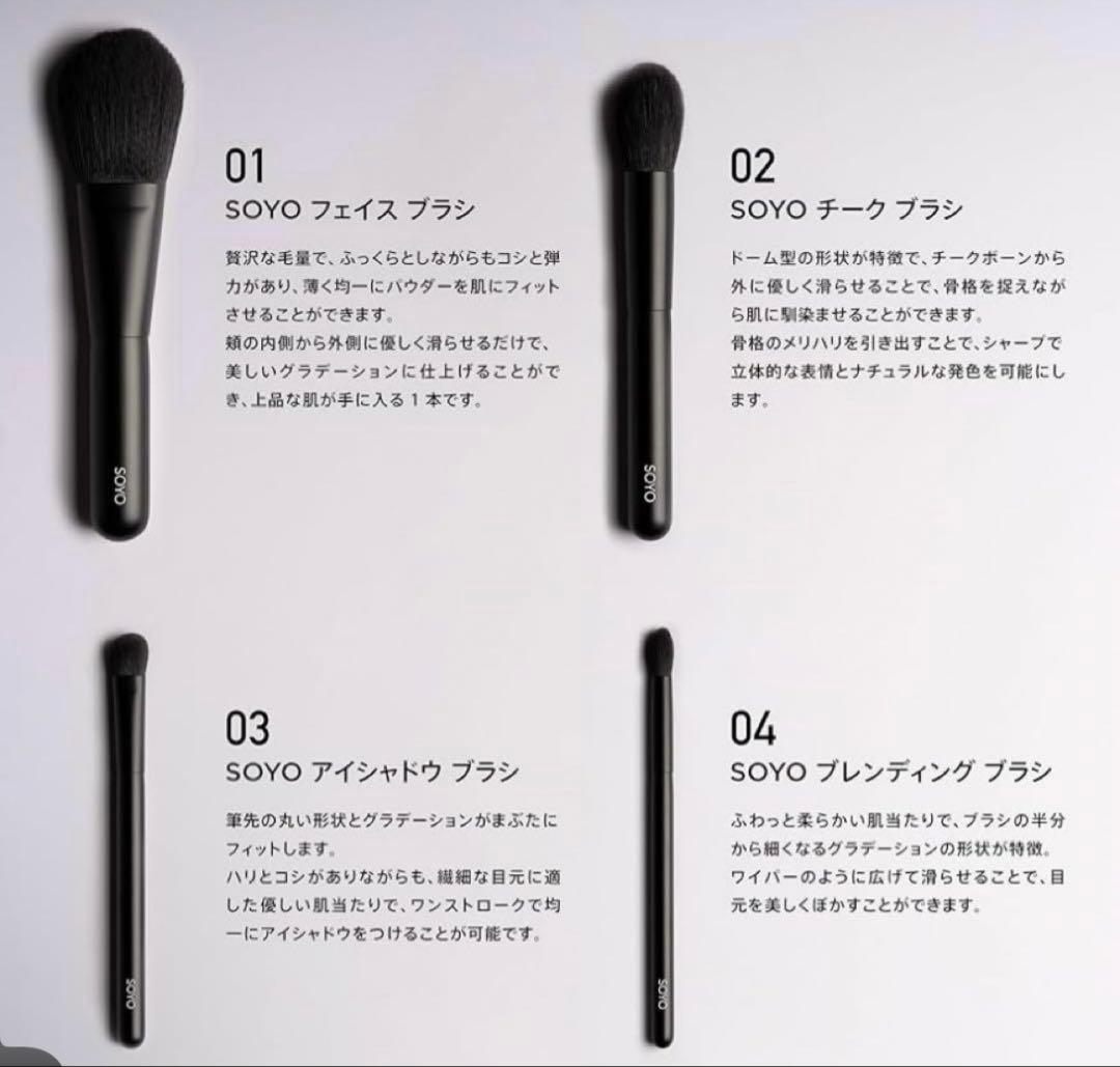 【小田切ヒロ】SOYO スタンダード デイリー セット （7本＋ケース付）