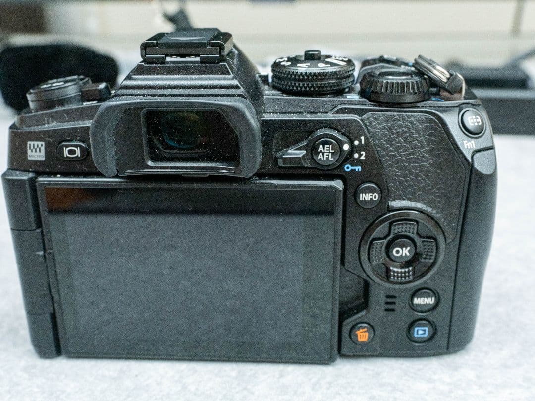 OLYMPUS OM-D E-M1 Mark2【美品】ショット数6468回