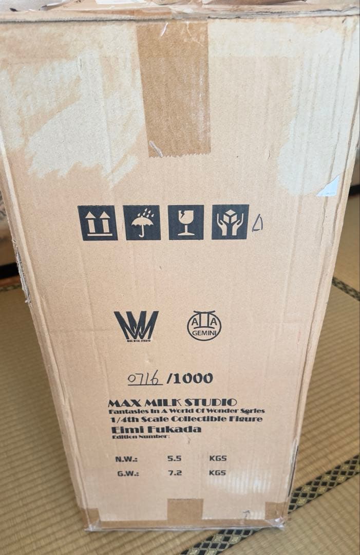 【新品✨】　深田えいみ『異世幻想』魅魔　フィギュア　Succubus サキュバス