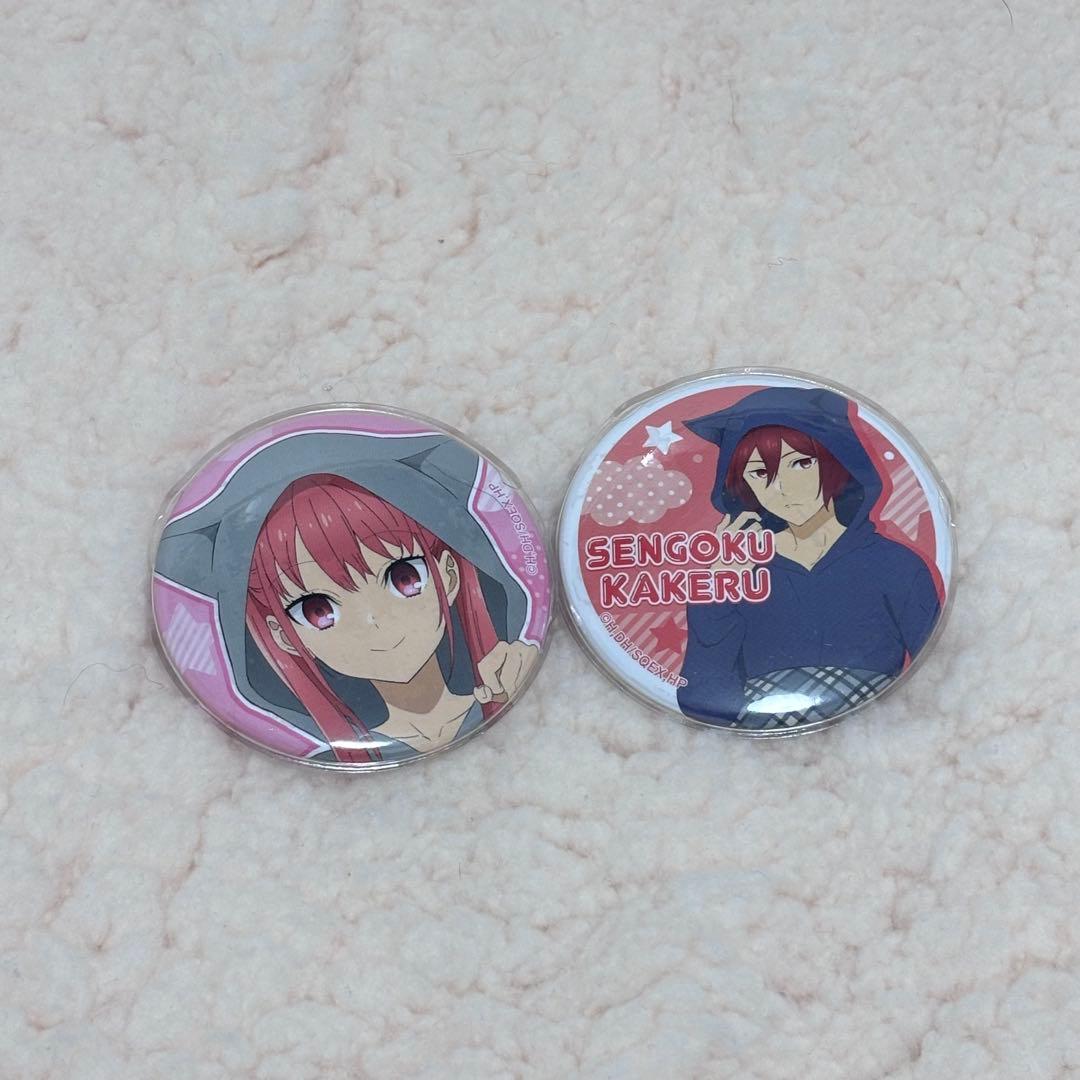 ホリミヤ 缶バッジ 綾崎レミ 仙石翔 2個セット - メルカリ
