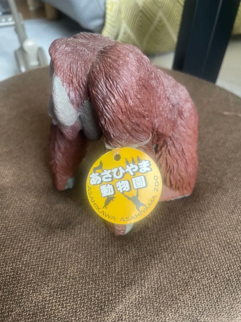 2025年最新】Yahoo!オークション -旭山動物園 オランウータンの中古品