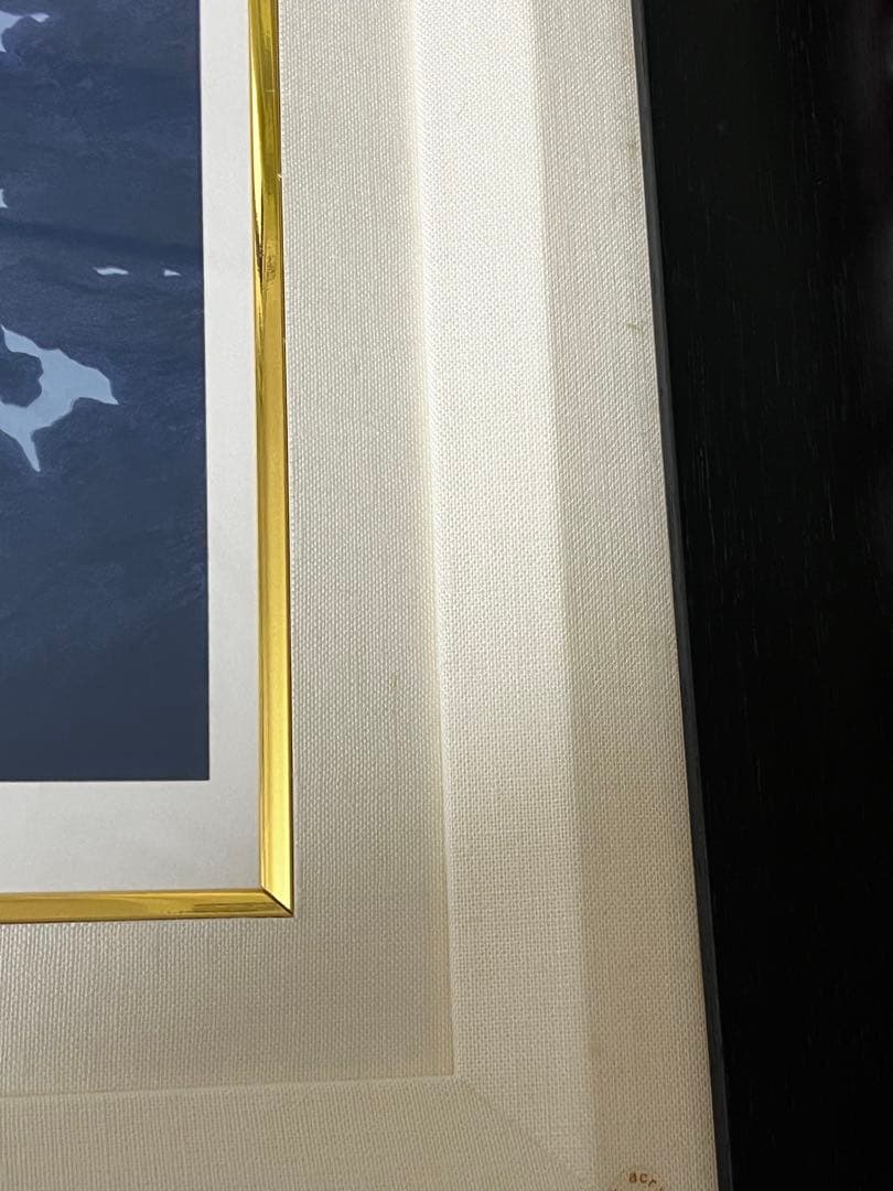 希少価値の黒豹】シムシメール 「未来を探し求めて」美品 ジークレー