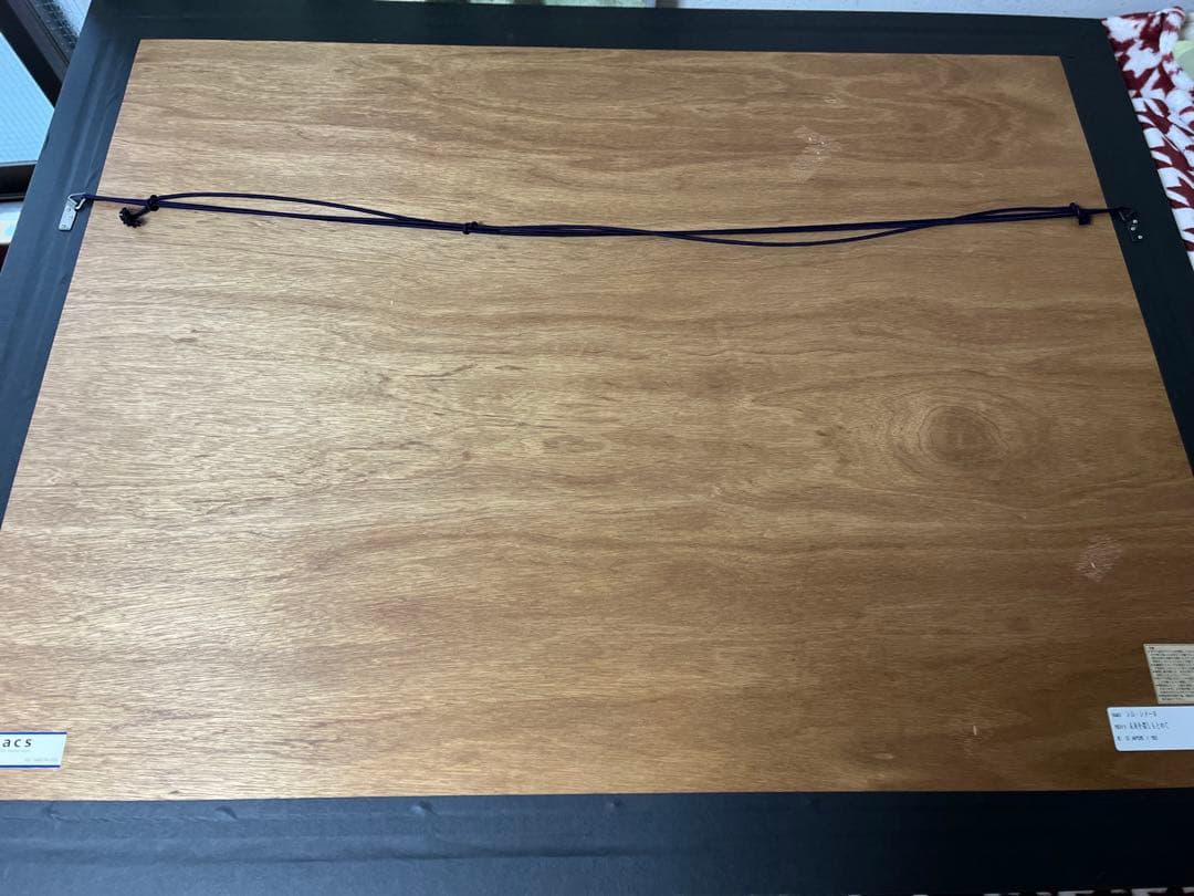 希少価値の黒豹】シムシメール 「未来を探し求めて」美品 ジークレー