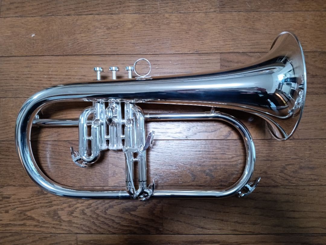 Brasspire Unicorn BPFG-850SS Flugelhorn (New) | Reverb