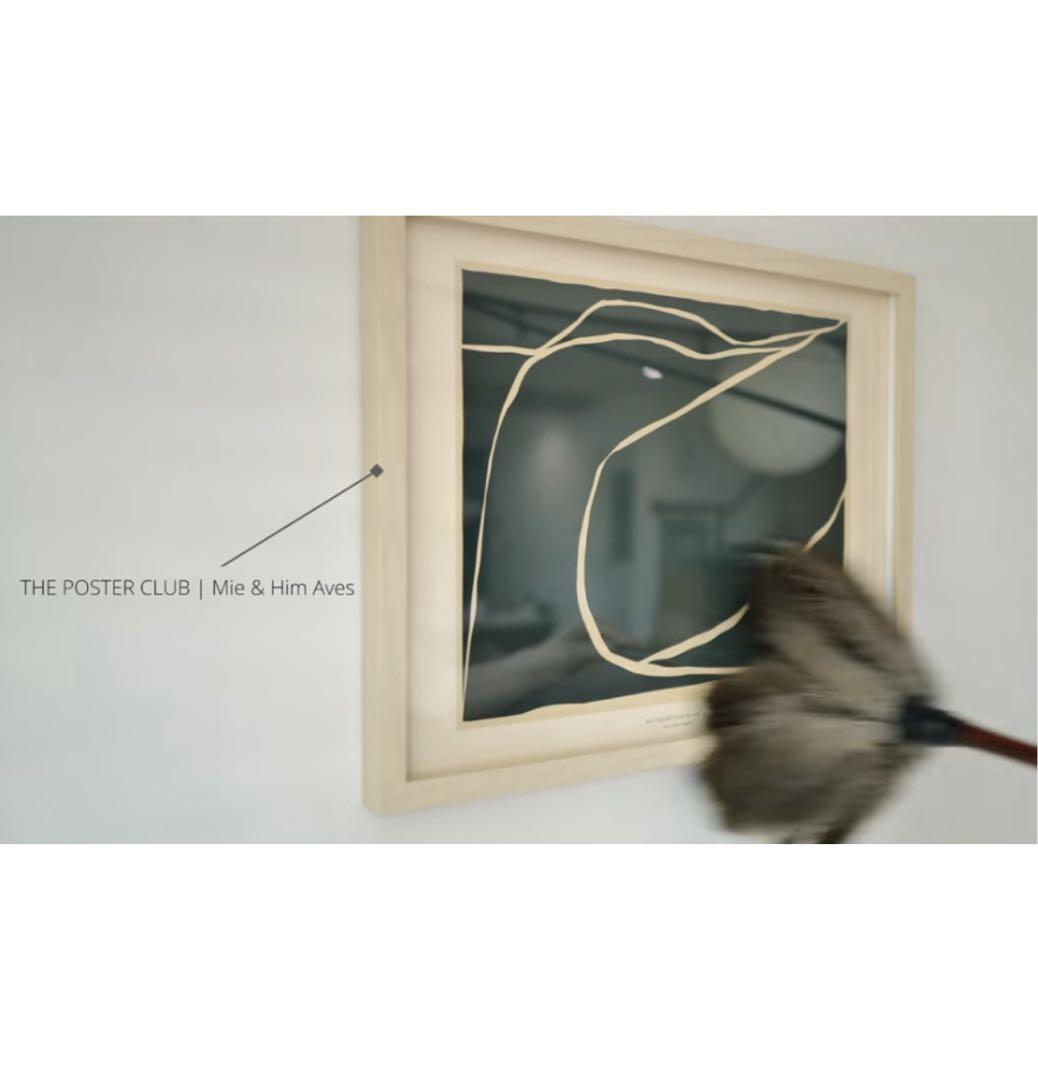 The Poster Club アートポスター 50×70cm 【Aves】