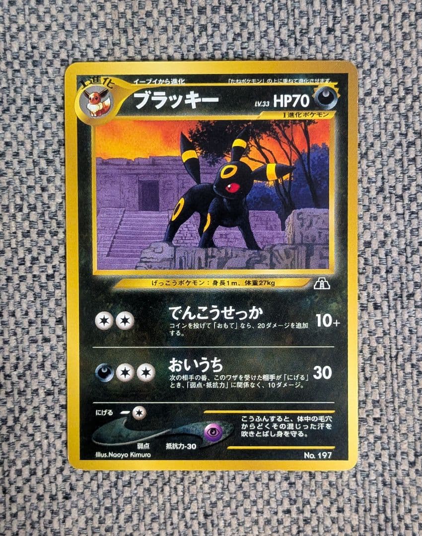 美品※ブラッキー プロモ プレミアムファイル 旧裏（管理用1579