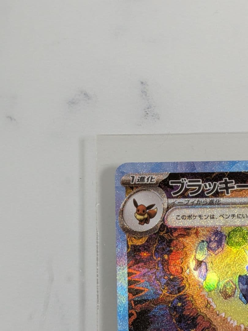 【極美品】ブラッキーex SAR ローダー保管