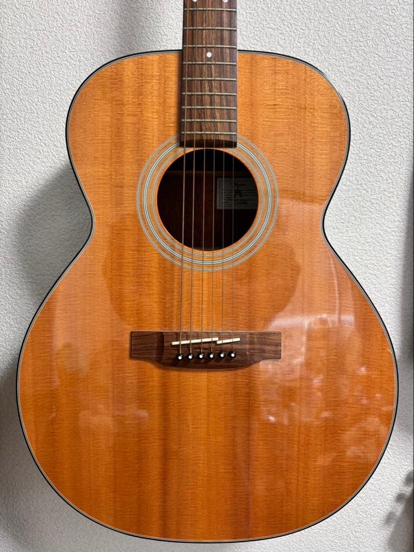 TAKAMINE TSA500 アコースティックギター - yellows.co.jp 日本