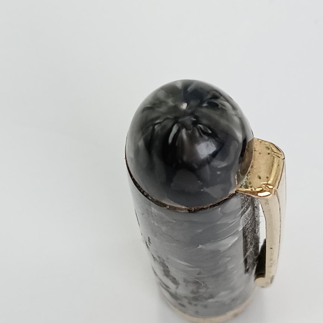 稀少 PLATINUM プラチナ 14K 万年筆 ブラック 3776 マーブル