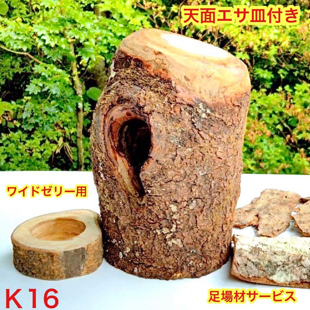 クワガタ様リクエスト商品あ様 リクエスト 2点 まとめ商品 隠れ家 樹洞