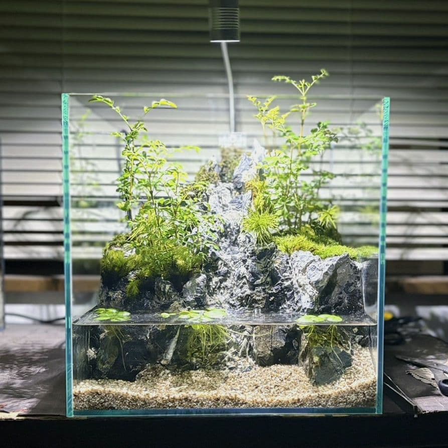 滝と霧の流れるアクアテラリウム 水の流れる滝テラリウム水槽 完成品 滝