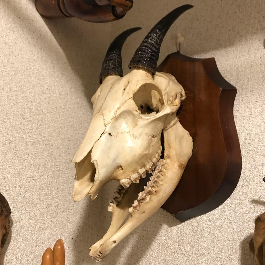 志野焼 鼠志野 小林武春造 湯呑 共箱 竹林窯 Y-26