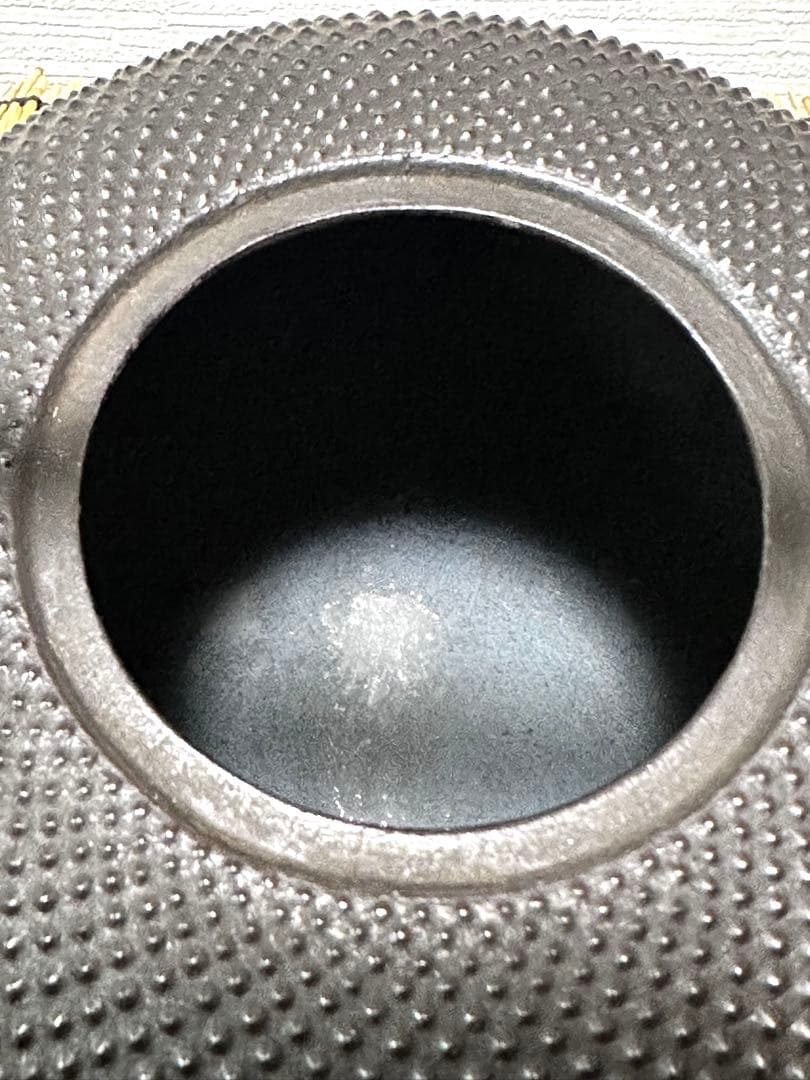 新品、供箱等付属品付　南部藤枝工房　藤枝　昌行作１２型アラレ　南部鉄瓶　南部鉄器