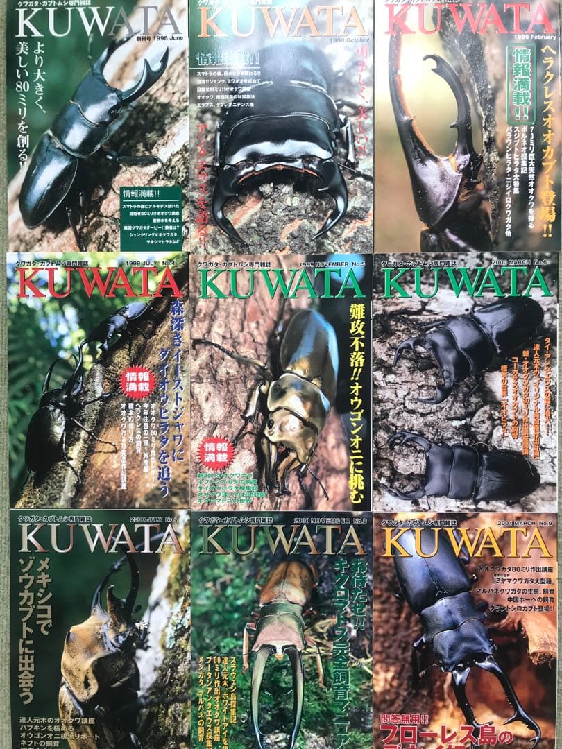 コレクションシリーズヤンソニーテナガ