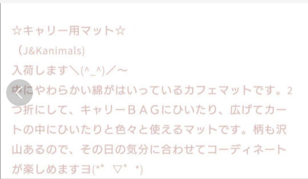 J＆Kanimals カフェマット はるちゃん 完売品 - メルカリ