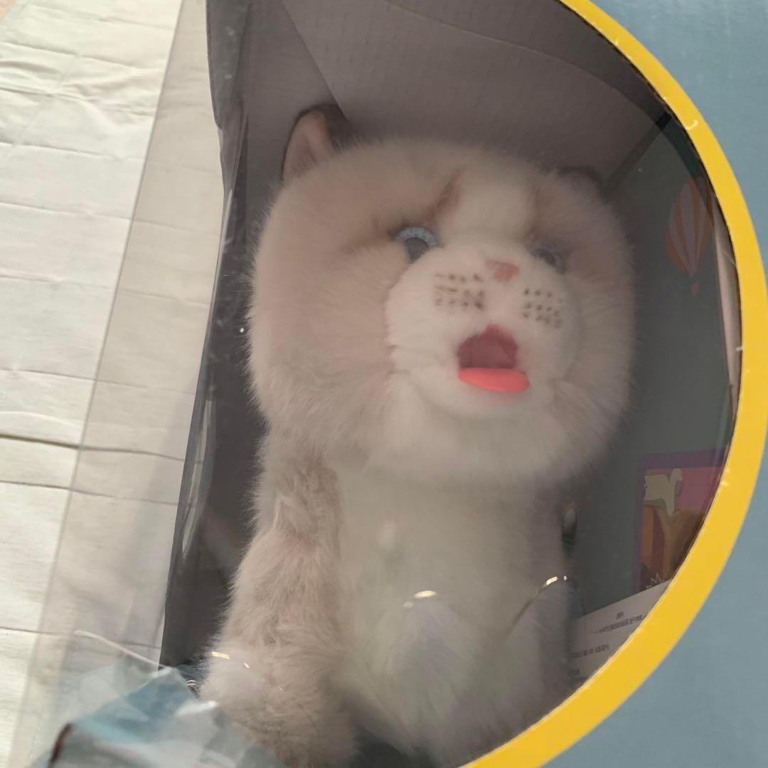 ★動物のぬいぐるみ インタラクティブなラグドール猫 誕生日 記念日 プレゼント