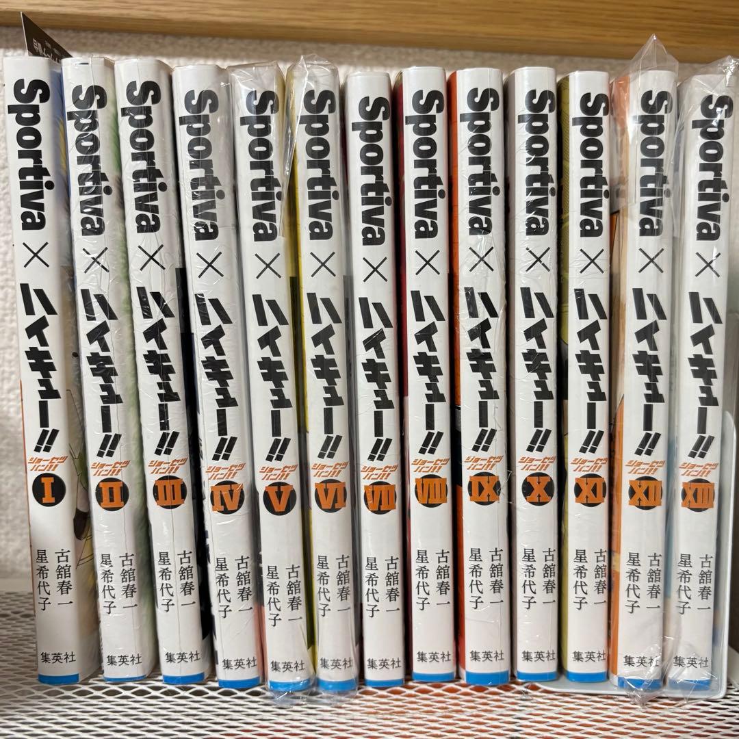 ハイキュー!!全巻 1～45巻➕ハイキュー!!ショーセツバン全13巻
