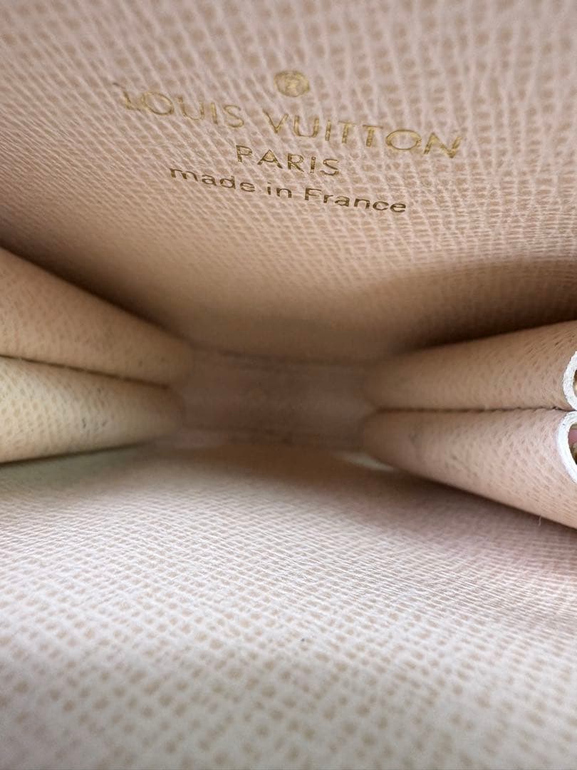 Louis Vuitton 2WAY ケース　<No.489>