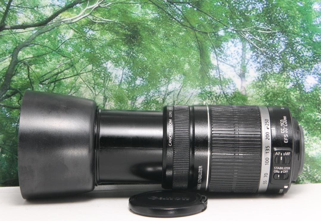 ❤️手ぶれ補正で遠くが超綺麗✴️ Canon 55-250mm IS❤️ - メルカリ