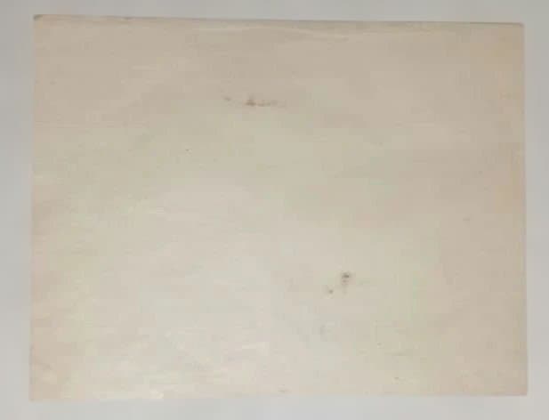 塊石版画、下曽我の梅林と富士、（富士25図の内)定石塊