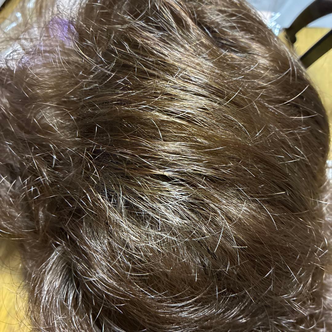 フルウィッグカオリナラターナー、ショート総手植え、びびちゃびんさま簡易包装