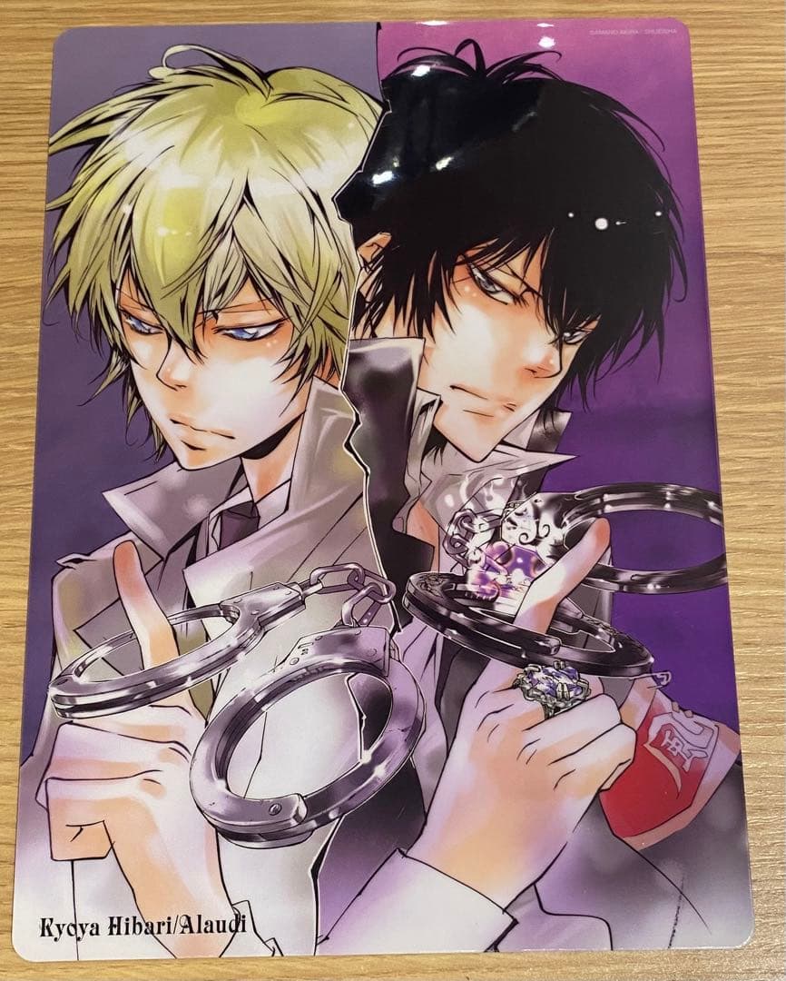 雲雀恭弥 家庭教師ヒットマンREBORN！ 希少