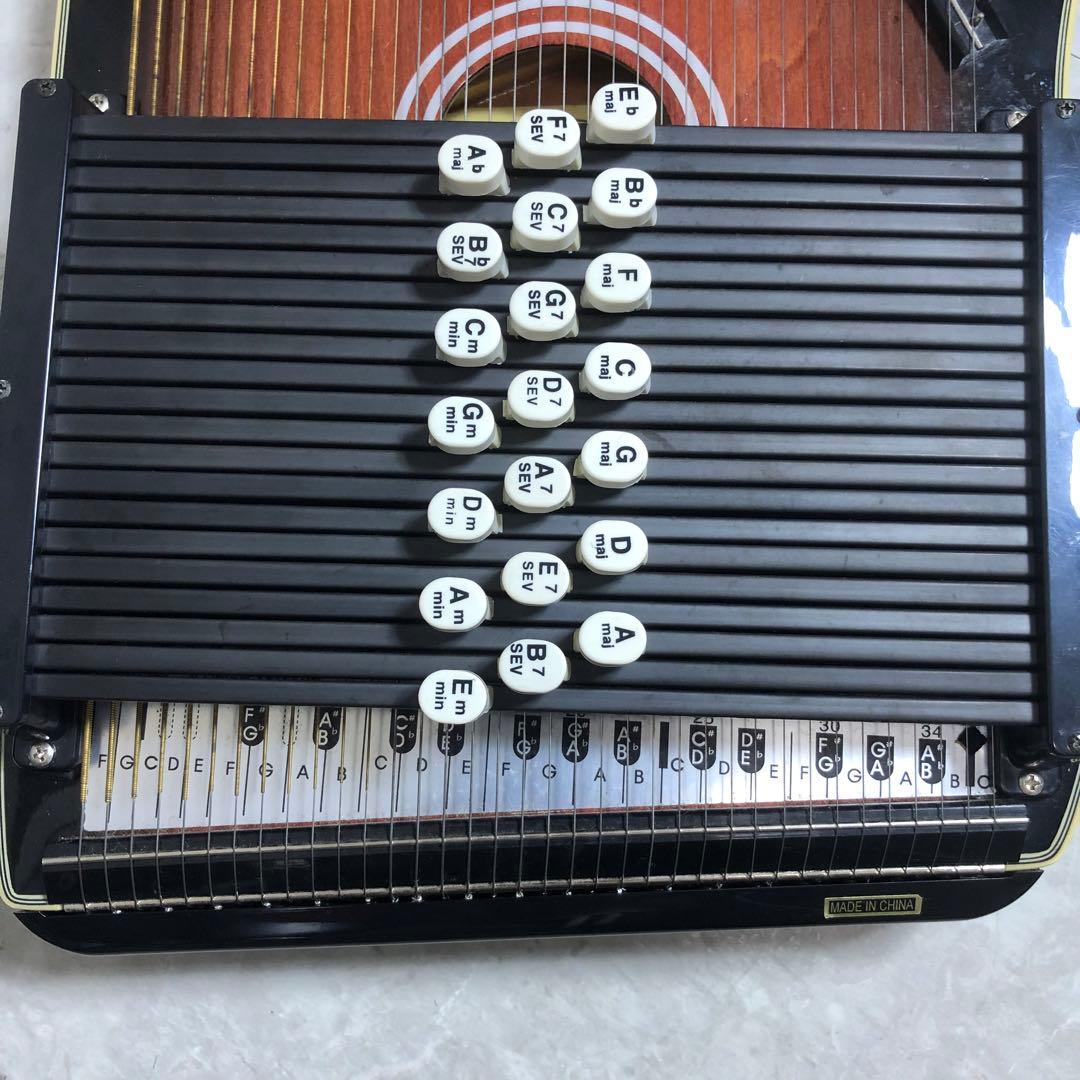 ARIA　AH-21E　弦楽器　コードハープ　専用ケース　ピックアップ搭載モデル