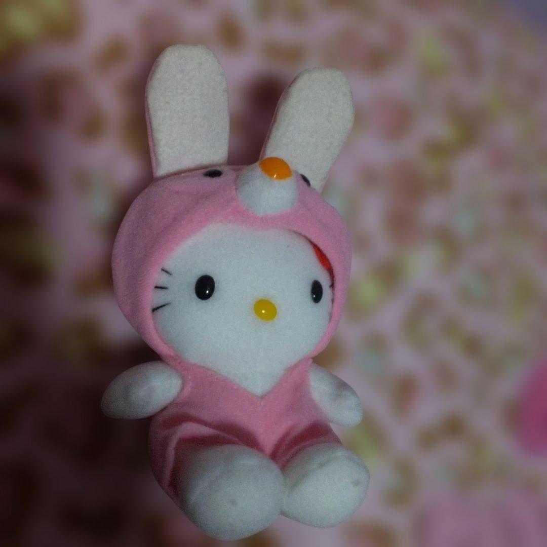 超激レア‼️レトロ‼️キティ 着ぐるみ‼️9 体セット‼️