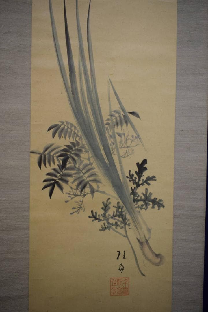 真作/広島県/福山市/羽田桂舟/菖蒲図/桐題箱付/布袋屋掛軸HI-470