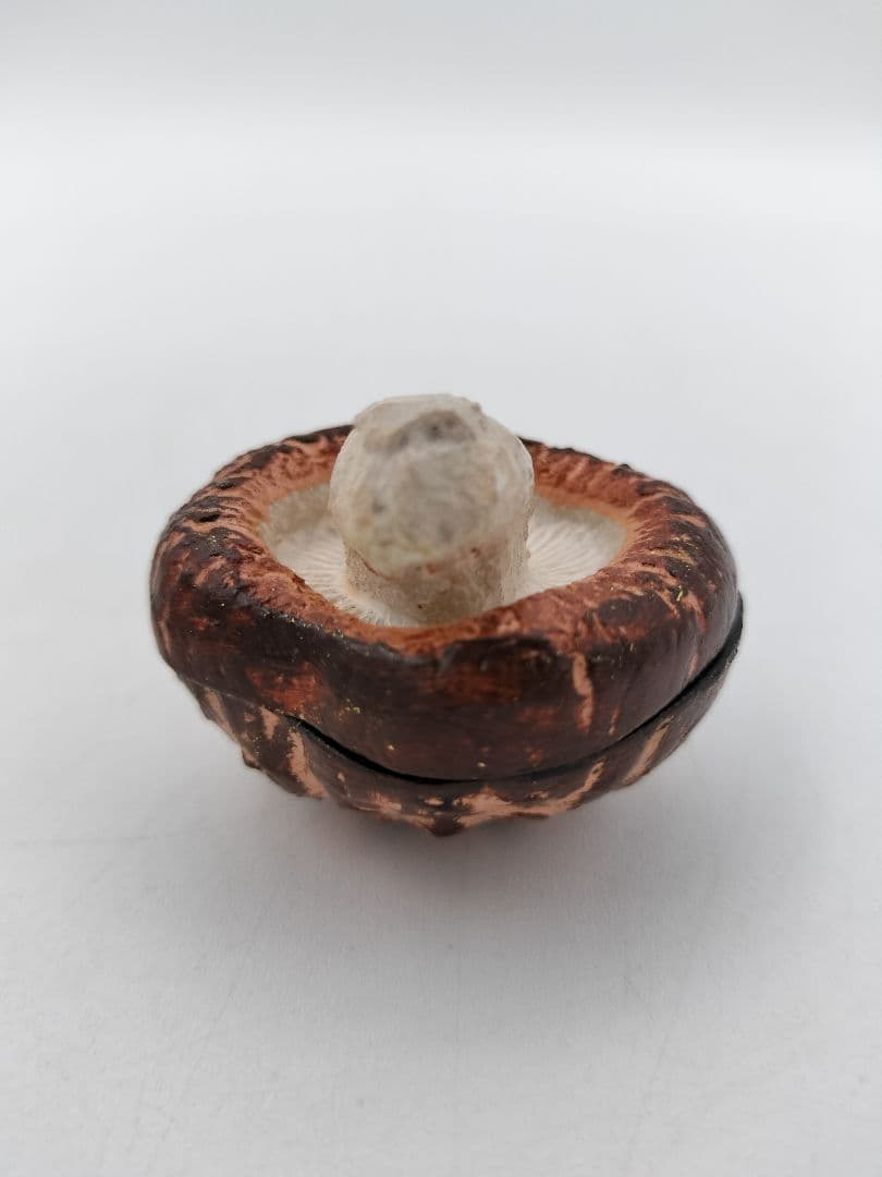 b120 【新品・未使用】香合 乾漆 椎茸 畦地粒表 多喜翁 木箱 茶道具 風炉