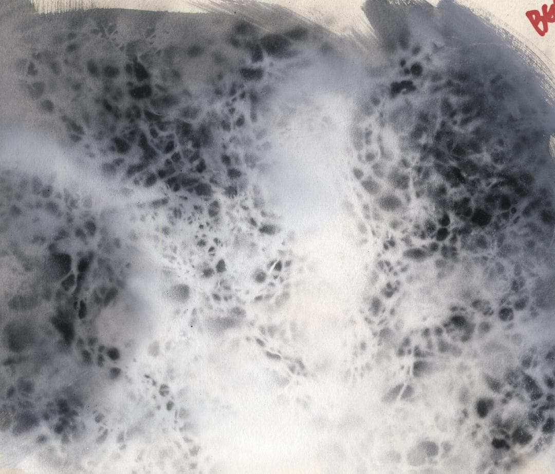 吸血姫美夕TVOP 冷羽 松風 セル画