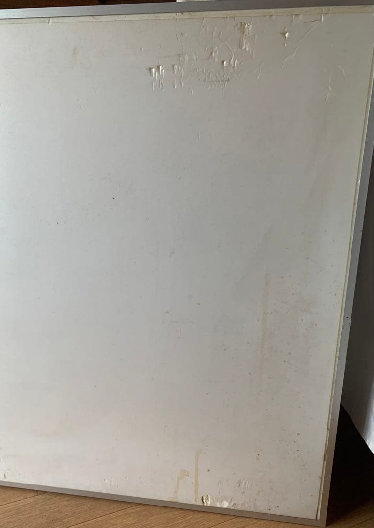 大型 EXPO’90 花博 カシニョール ポスター「あじさい 」リトグラフ