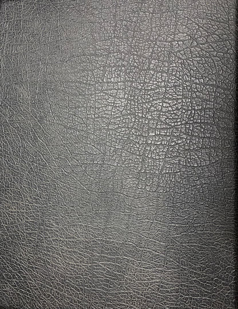 配信機器・PA機器・レコーディング機器 Roland Space Echo RE-201