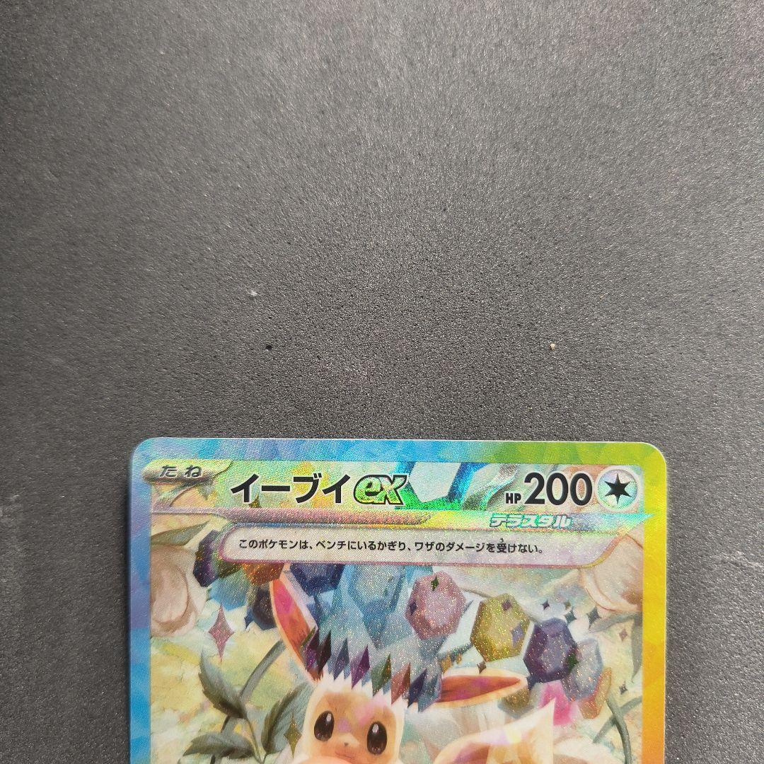 nonno様ポケカ引退品