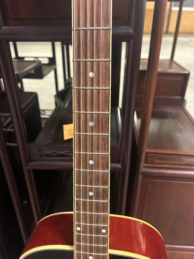 Sepia Crue アコースティックギター F-170/WRS