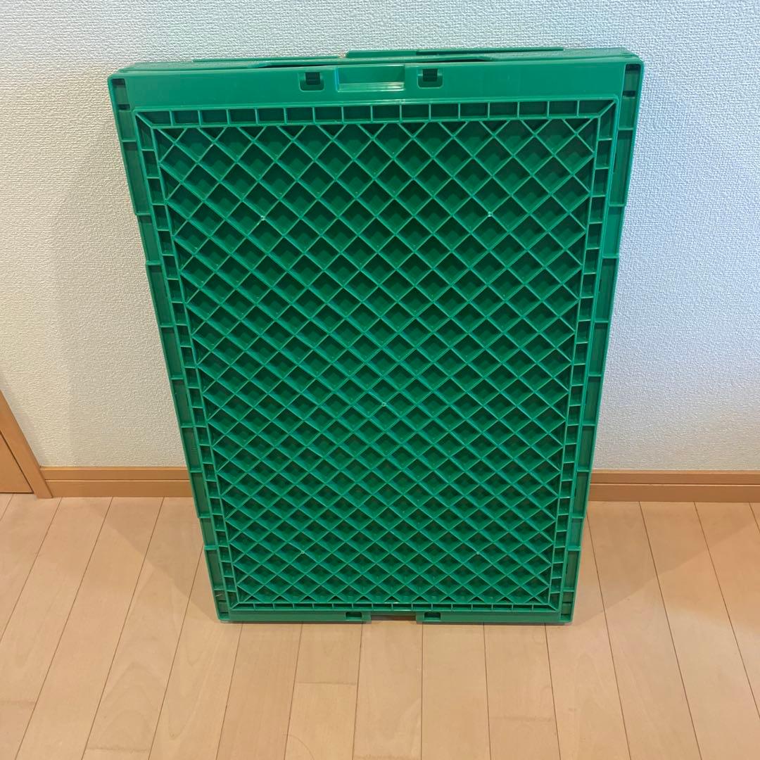 ヒューマンメイド 74L GREEN ロゴプリントコンテナ 限定 レアカラー