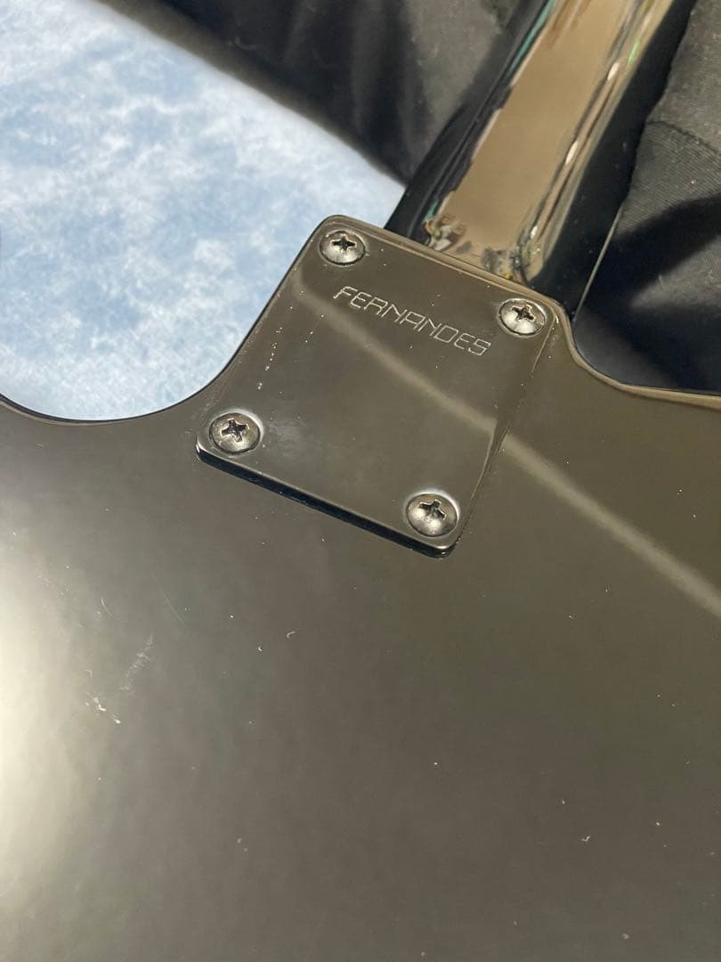 FERNANDES フェルナンデス　TEJ-STD 2S'19 BLK